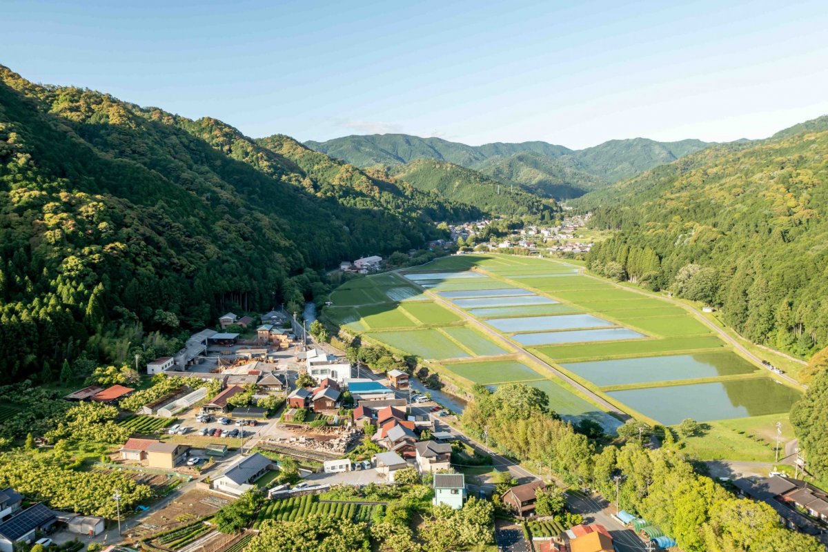 岡崎市の約60%は森って知ってた？森とまちをつなぐ「もりまち」に密着！