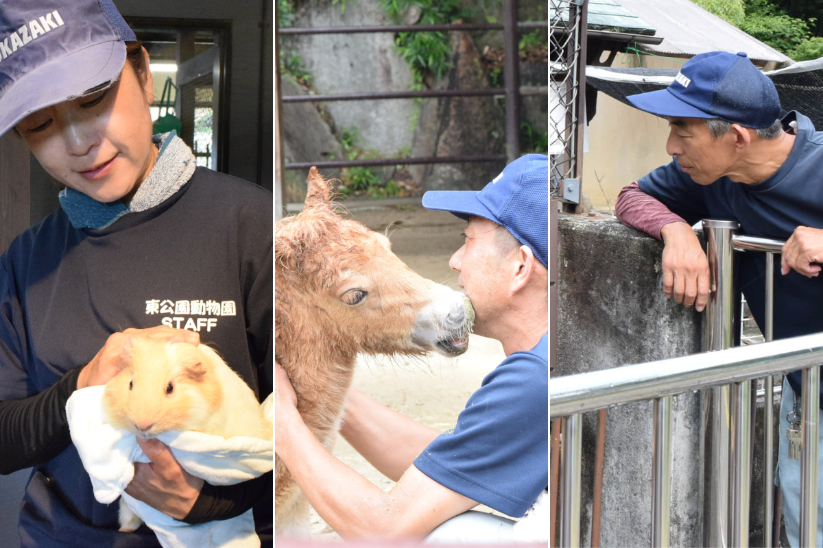 「東公園動物園」がもっと好きになる！市民に愛される魅力と、動物園の裏側に迫る！
