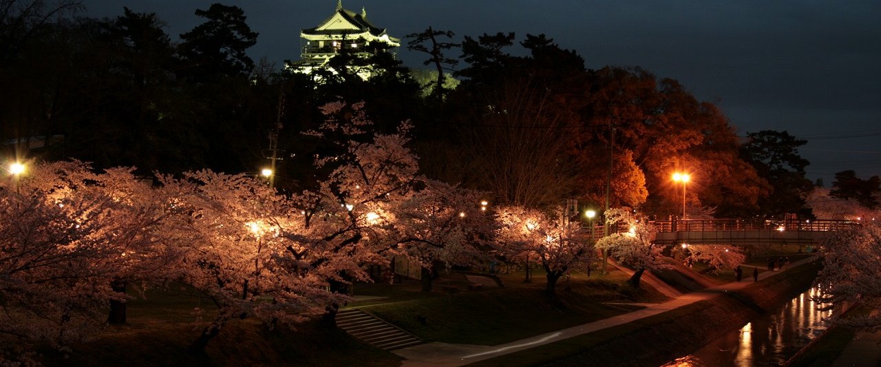 春を告げるお菓子も 桜の名所 岡崎公園でお花見を楽しもう 岡崎ルネサンス