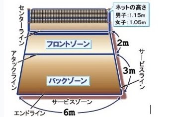 座位バレーボールのコート