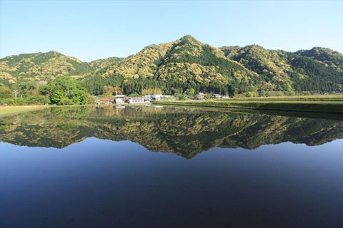 滝山の山影を映す万足平の水田。万足平の地名は、滝山の合戦で武田軍5000人の兵が侵入したことに由来するといわれ、「万足」は5000人の両足で1万の足、「平」は平坦な土地を意味しています