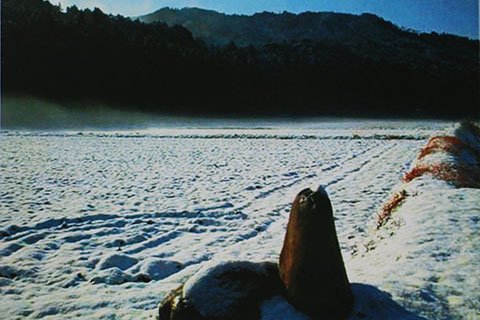 雪に覆われる冬の万足平