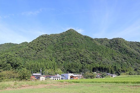 滝山の山頂（写真中央）にあった滝山城（亀穴城）。1573（天正元年）の滝山の合戦は、奥平氏が武田方から徳川方に寝返ったことで起こりましたが、奥平軍が武田軍を退けました