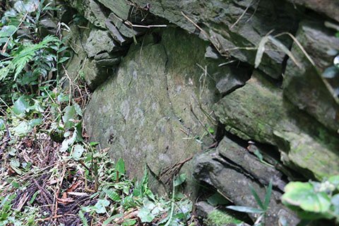 土台を作るため縦に掘り立てられた根石