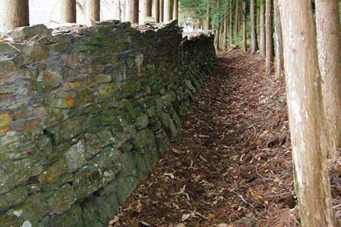 車道と呼ばれる幅約1.2mの溝。石などの資材を積んだ台車を走らせた道として、また垣根に高さを出すために掘られたものと推測され、山手側から見ると石垣が高くなっています