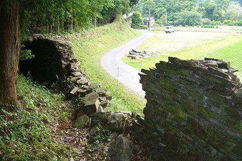 約10年前の猪垣の様子。古文書にも村人が猪垣の見回りをしていたという記録が残されています。建造と同じくらい維持管理が大変なことは、今も昔も変わりないようです