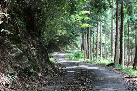 ガードレールも途切れ、車がやっと1台通行できる道幅。落石などにも気を付けて