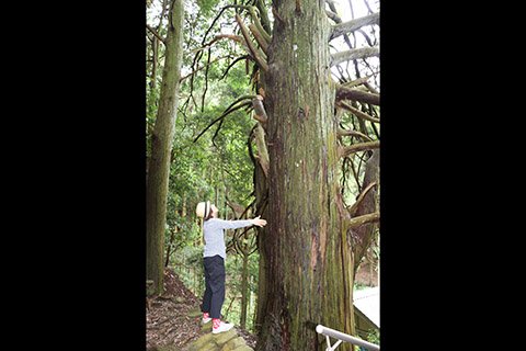 写っている彼女の身長は約160㎝。その巨大さがわかります