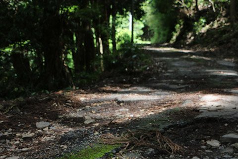 須佐之男神社を後にすると、勾配がきつくなってくるのでご注意を！