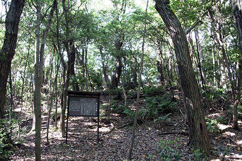 園内には古代から中世にかけて陶器が生産されていた「上地古窯跡群」もあります