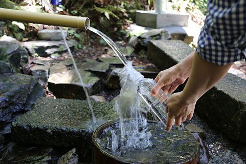  豊富な湧出量を誇る湧水群