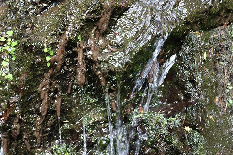 岩肌を流れる清水