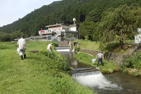 川の清掃活動