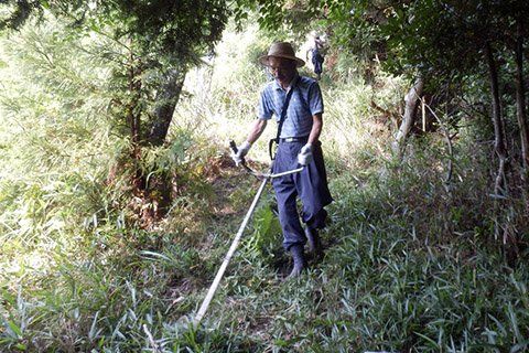 登山道整備の活動