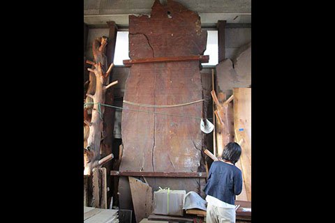 こちらは恐竜のいた時代に生えていた木なんだとか。それにしてもデカイ・・・