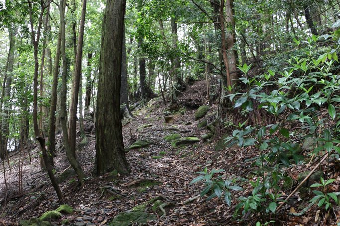 お家の前を過ぎたら山道を登ります。滑るので気をつけて