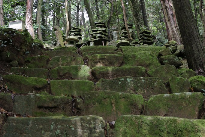 まっすぐ上がってから、右側を見上げると、みっ、見えた
