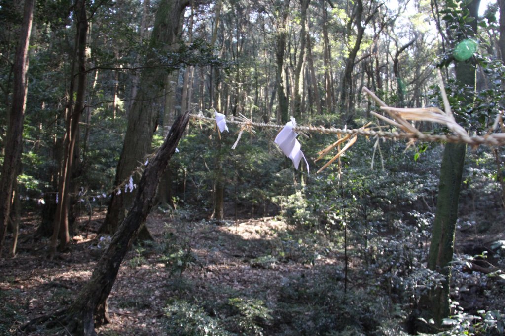 帝鎮講の森の入口。ここから先、女性は入れません