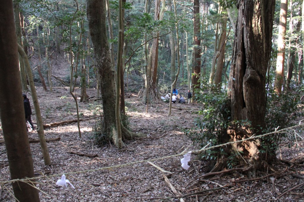 注連縄を張り、神域を作ります