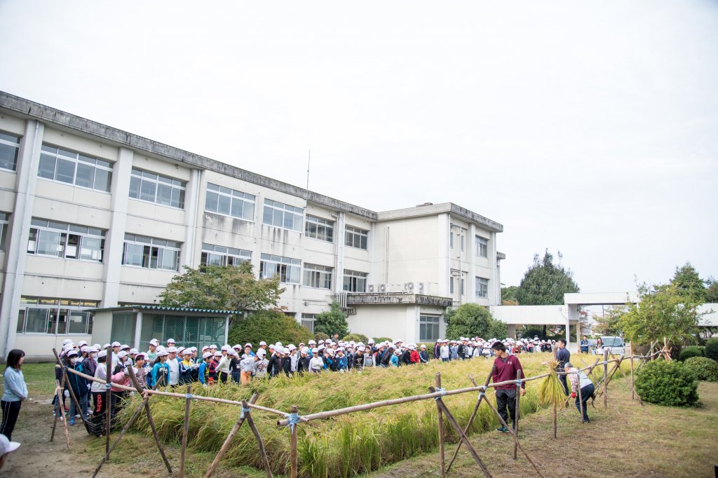 「井田んぼ」は井田小学校の中庭にある