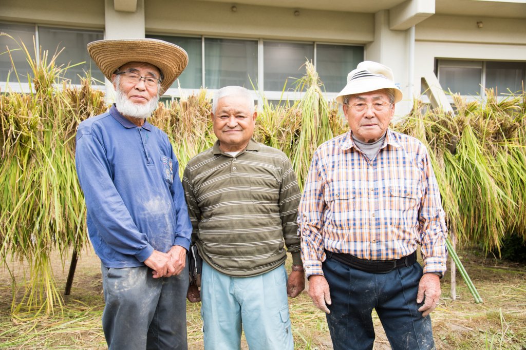 米作り名人。写真左から、中根さん、酒井さん、岡田さん