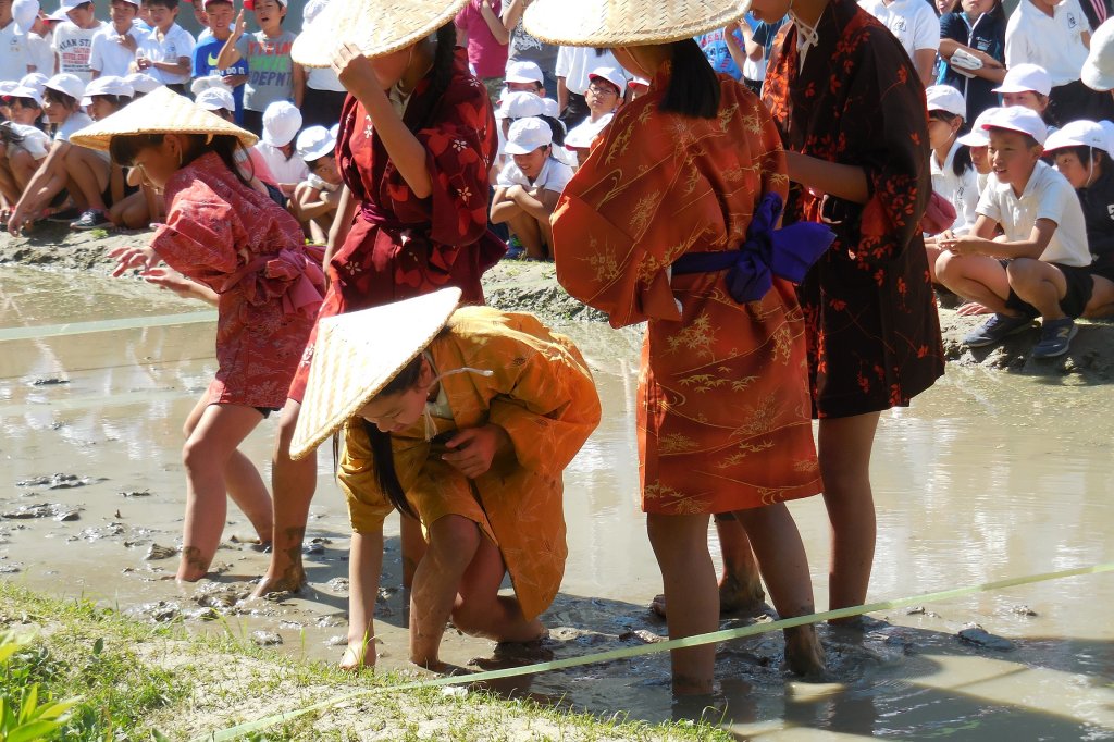 田植えを行う「井田植祭」では、代表の女生徒が早乙女姿でデモンストレーション