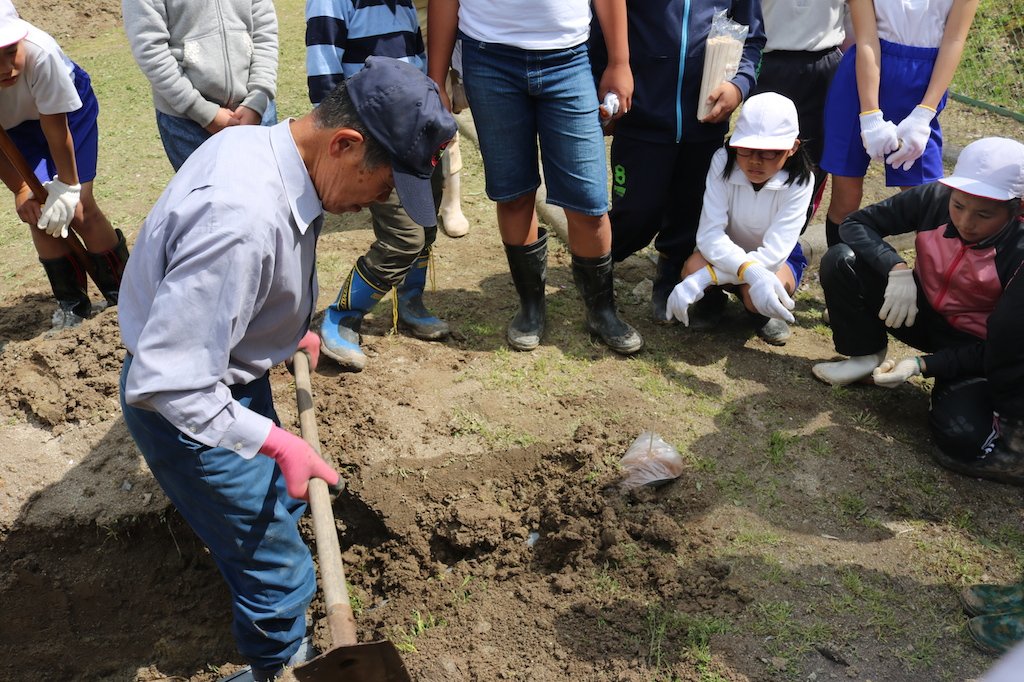 児童たちに植え付けの上手なやり方を教える常南自然じょ生産組合の野村さん