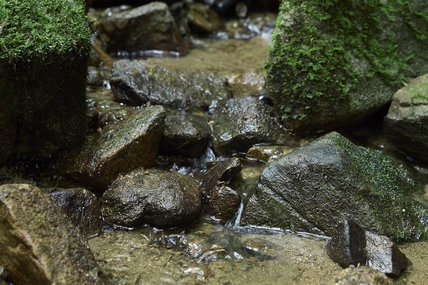 硬度0.2の超軟水「神水」は、ミネラル分が少なく仕込みに高い技術が必要