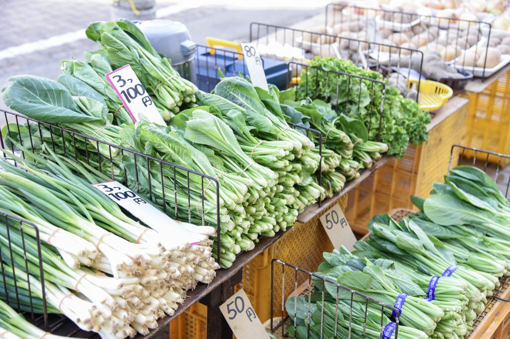 旬の新鮮な野菜