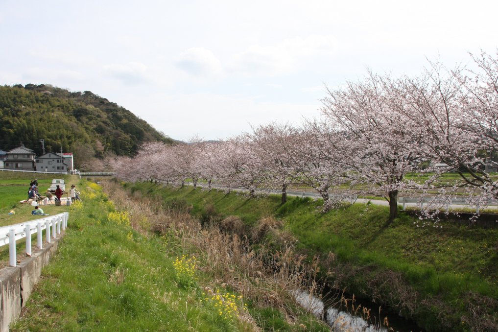 地域住民によって整備されている川原