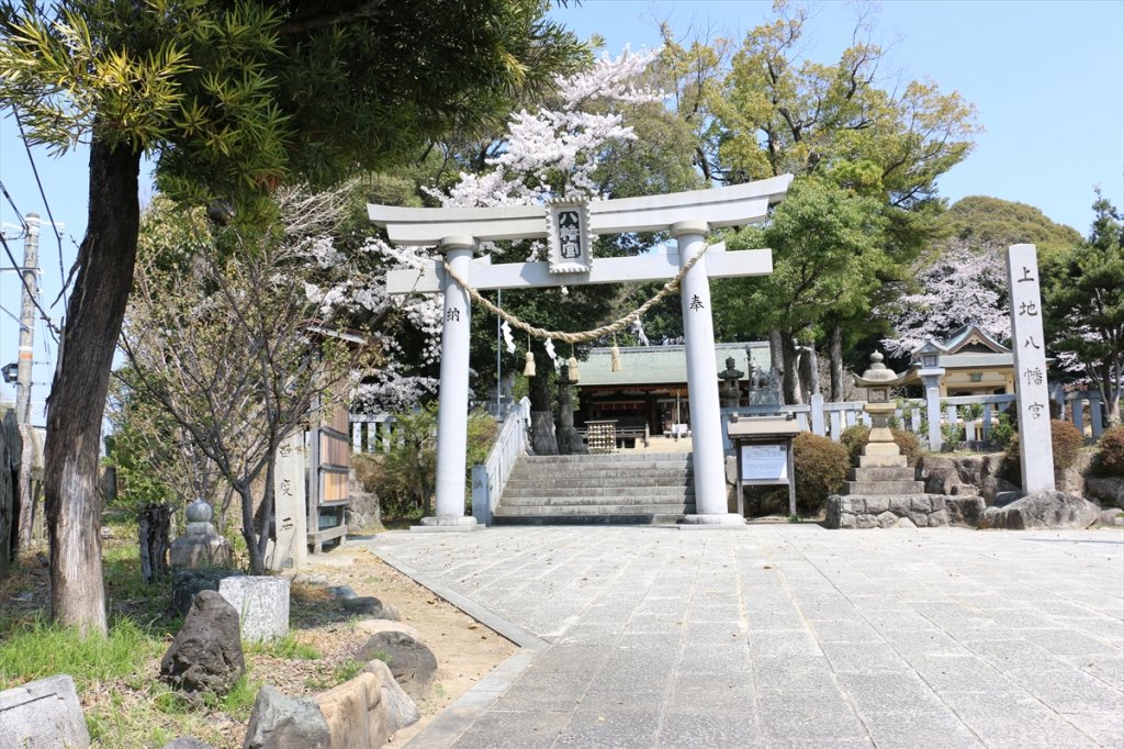 境内南側の大鳥居。左側を通行して、くぐる際は一礼し、手水舎で手を清めて拝殿へ