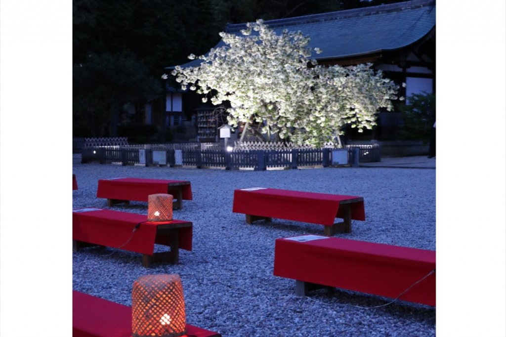 夜のお茶席は風情があってステキです