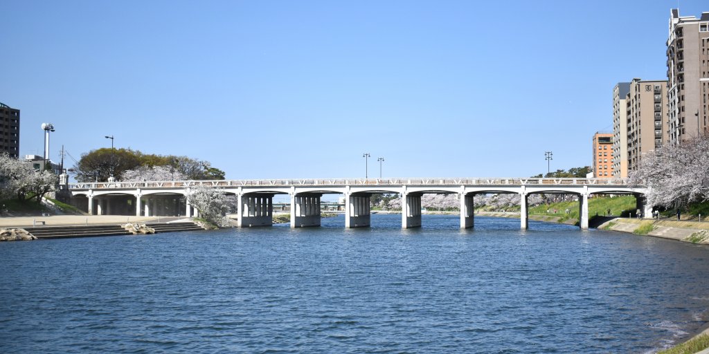 殿橋（11本）