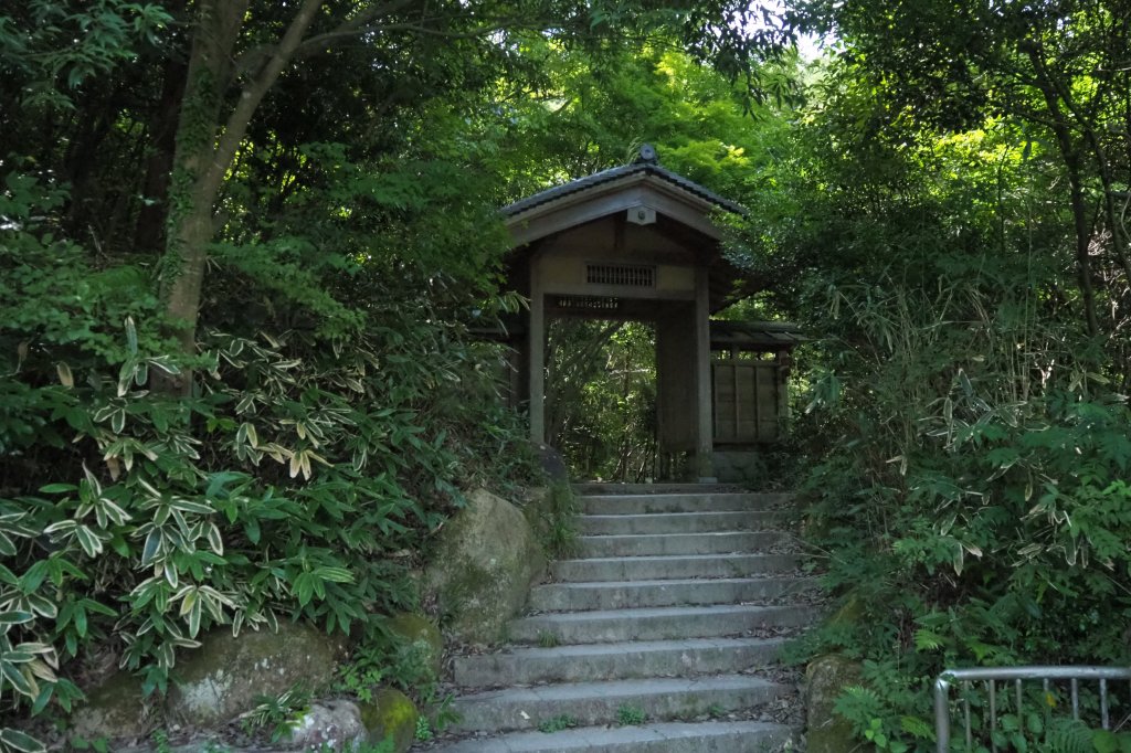 森の中への入口 本当に妖怪がいそうですね