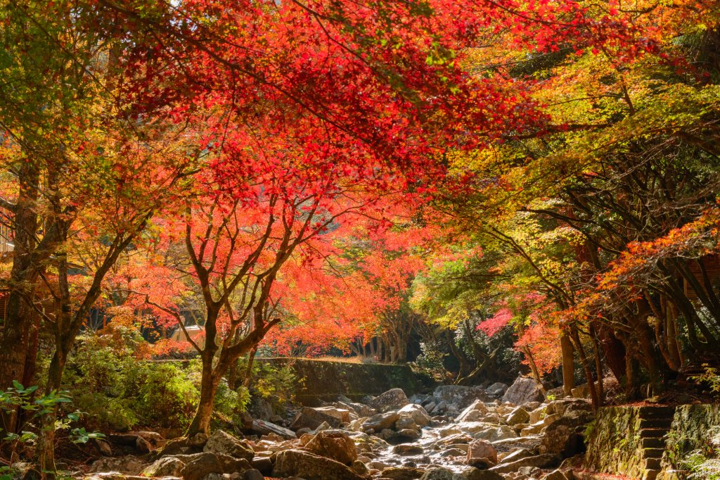 くらがり渓谷の紅葉