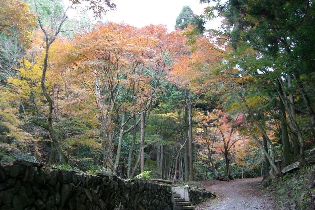 くらがり八景：第6景もみじ橋と岩舞台