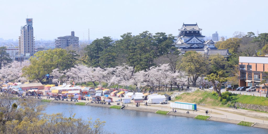 桜まつりの様子1（2023年は露店商の出店はありません）