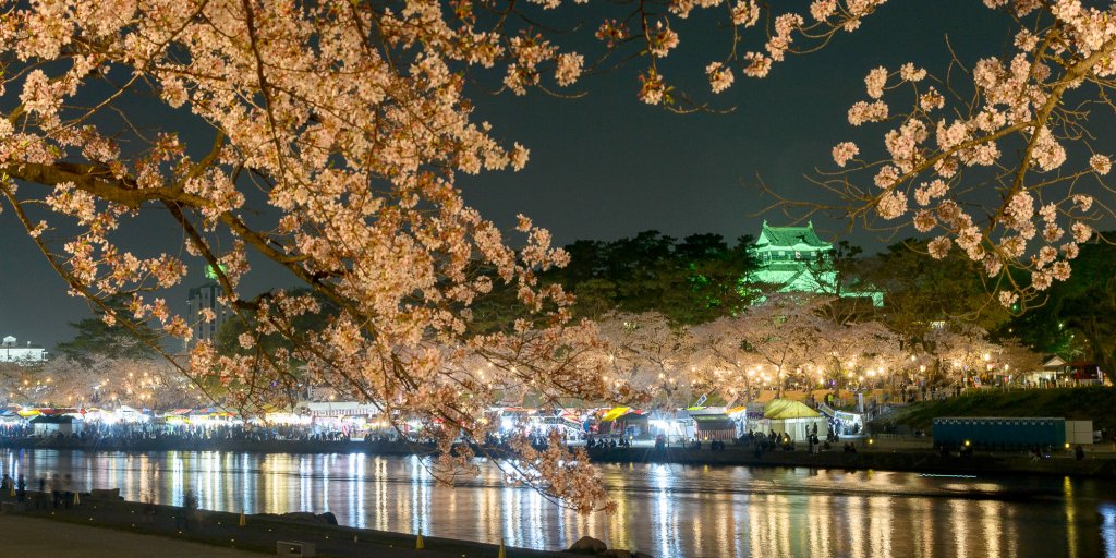 桜まつりの様子2