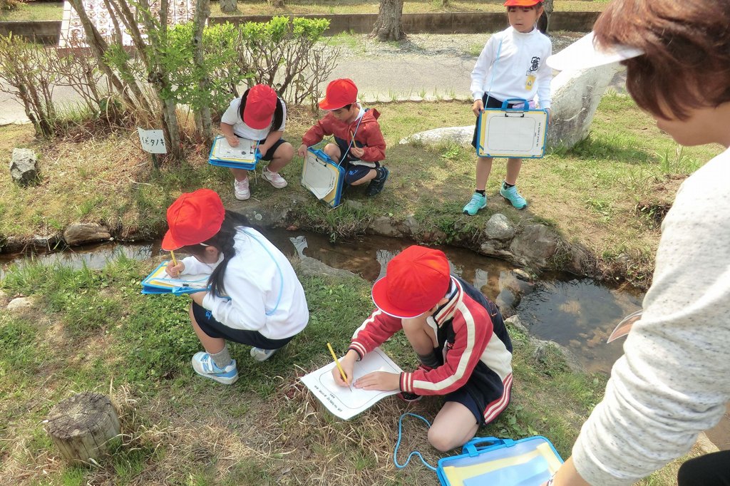 ビオ竜谷で自然観察をする子どもたち