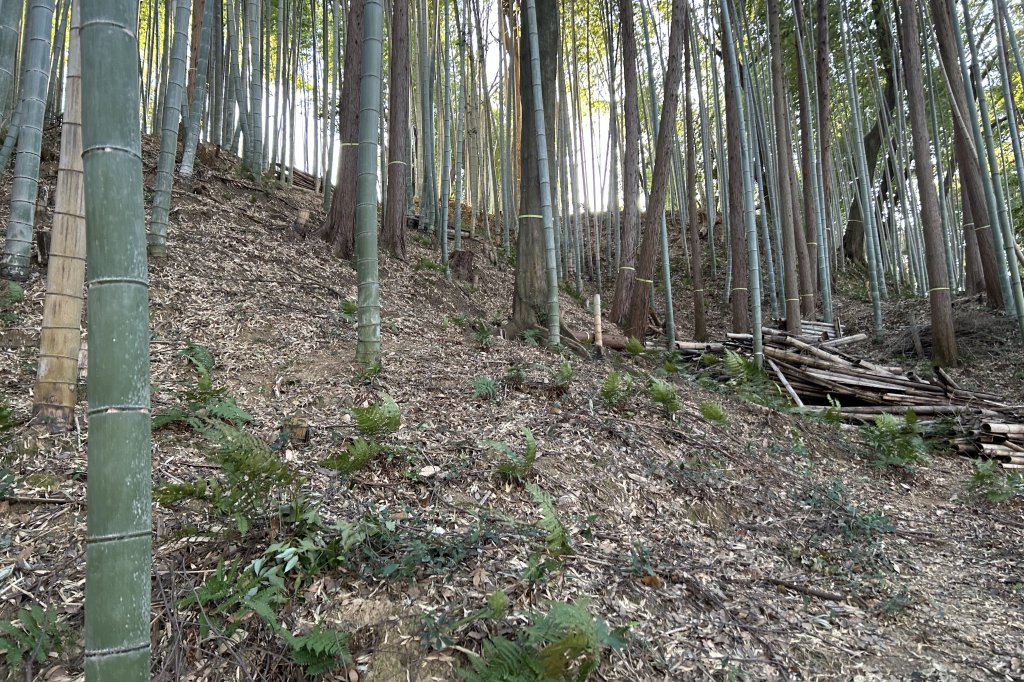 遺構各所で本来の姿が蘇っています