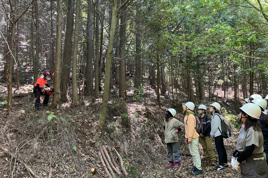 過去に開催された「森の女子会」では、森林ツアーとヒノキの木での蒸留体験などを行った