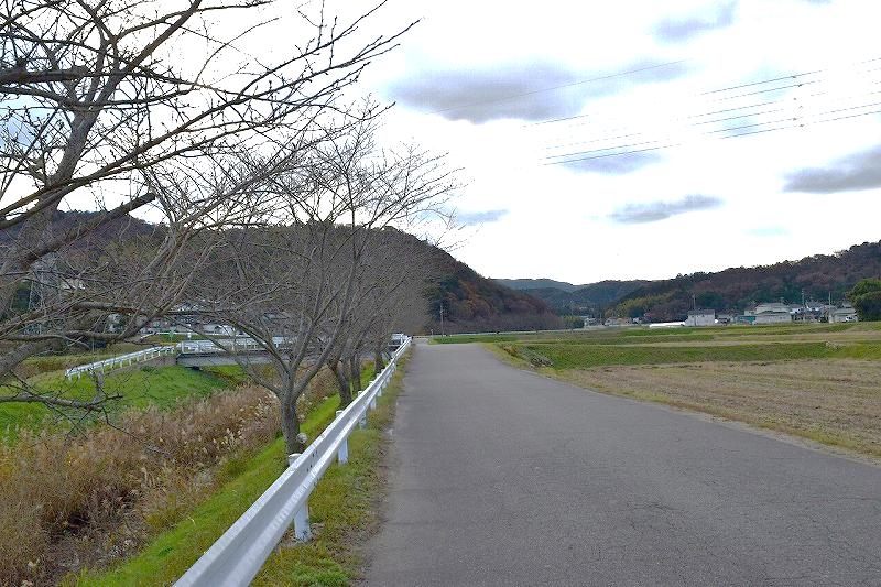 中心部から車でわずか10分も行けば、そこには美しい里山が広がっている。このあたりでは都市の便利さと自然の中での田舎暮らしとの両方を享受できる。岡崎市には蛍を見ることができる場所も多い