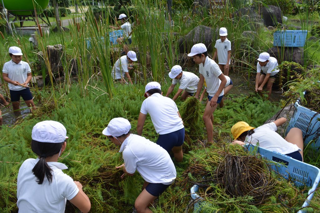 ビオ竜谷の清掃活動を行う５年生