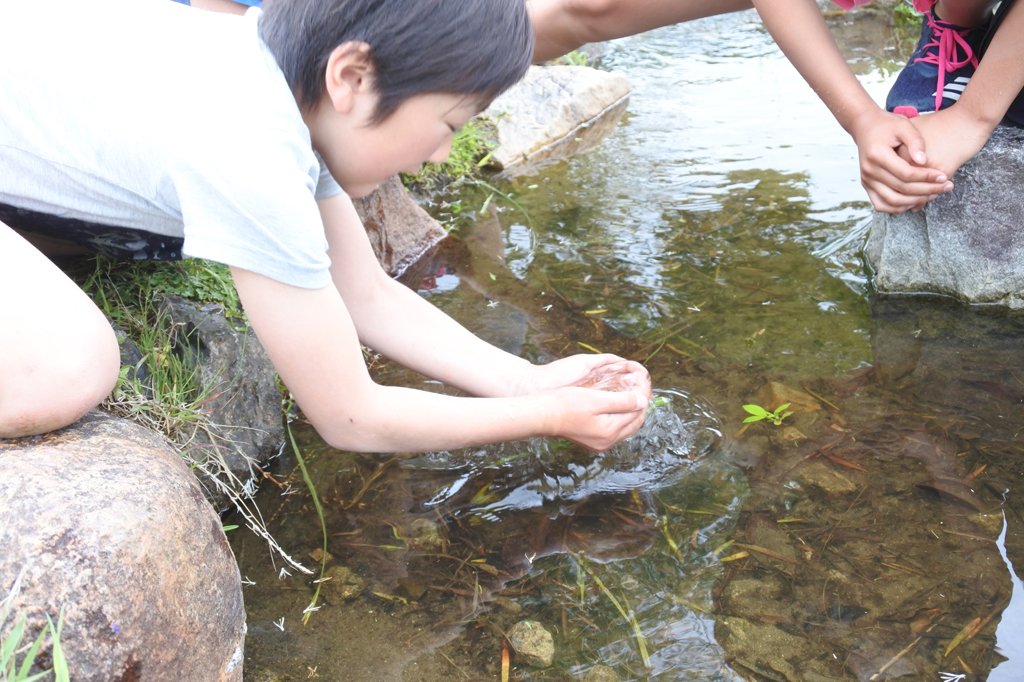 素手で捕まえるのはなかなか難しい