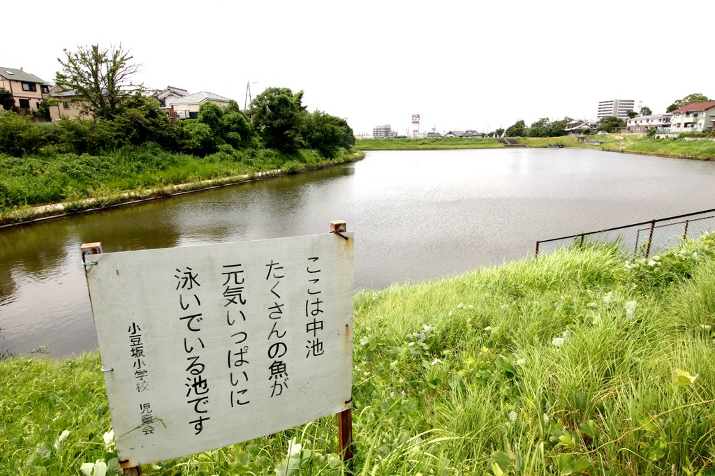 小豆坂小児童会が設置した看板が立つ中池