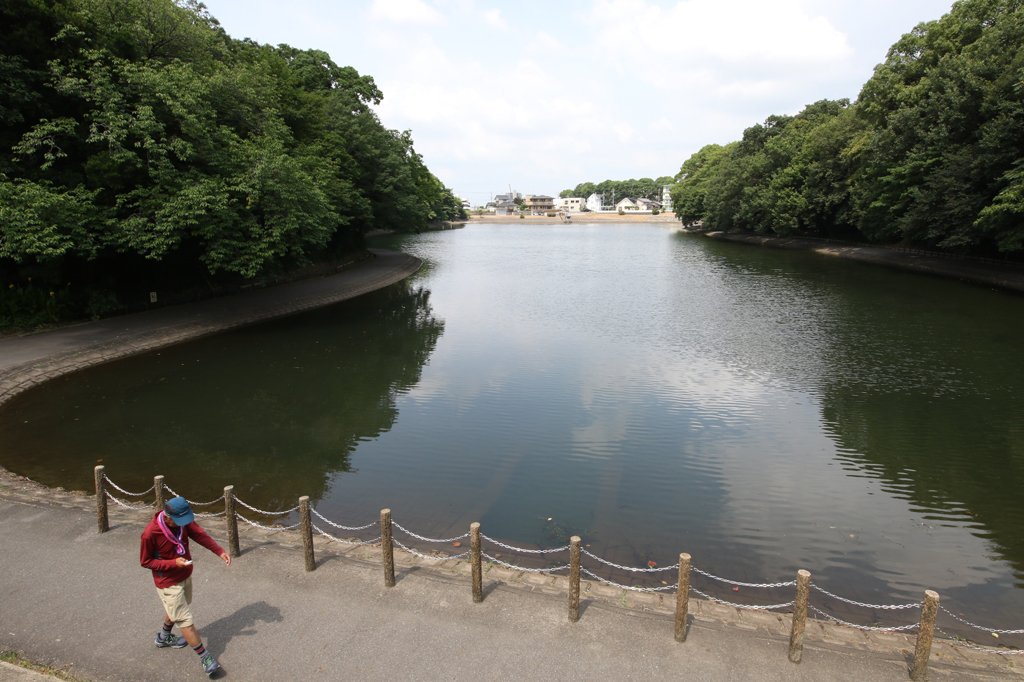 うっそうとした森に包まれているような長池