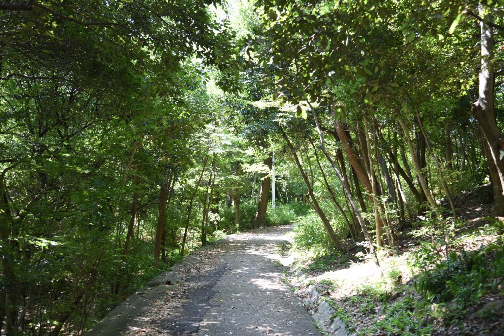 夏でも木陰が涼しい園路