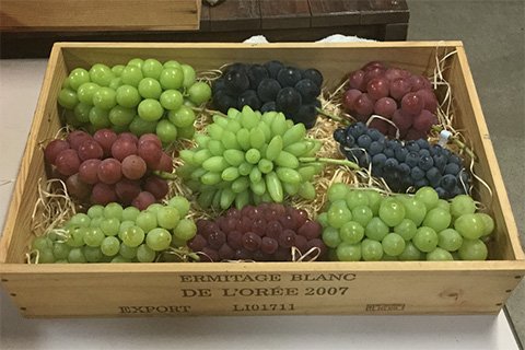 土産用のぶどうは約20種類（各園で異なります）