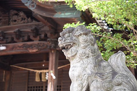 心地よい散歩が楽しめます