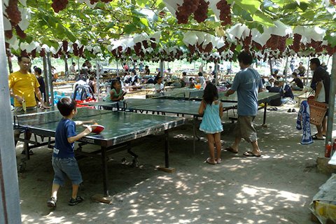 卓球や幼児用遊具があるところも